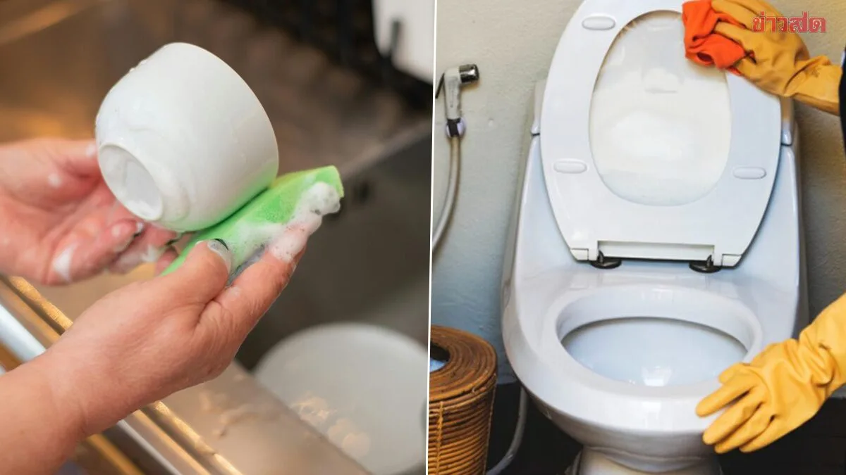 Alarming Research Reveals Kitchen Sponges Harbor More Bacteria Than Toilet Seats When Reused Long-Term