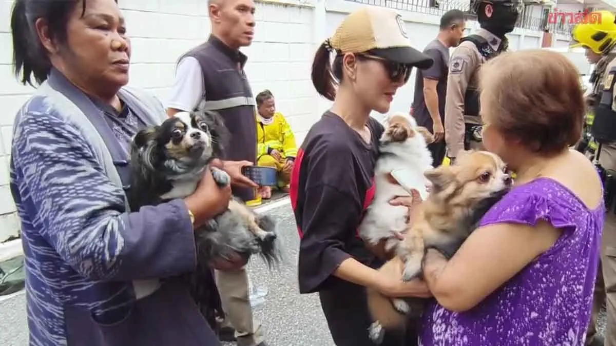 Firefighters Rescue Three Dogs From Burning Udon Thani Home