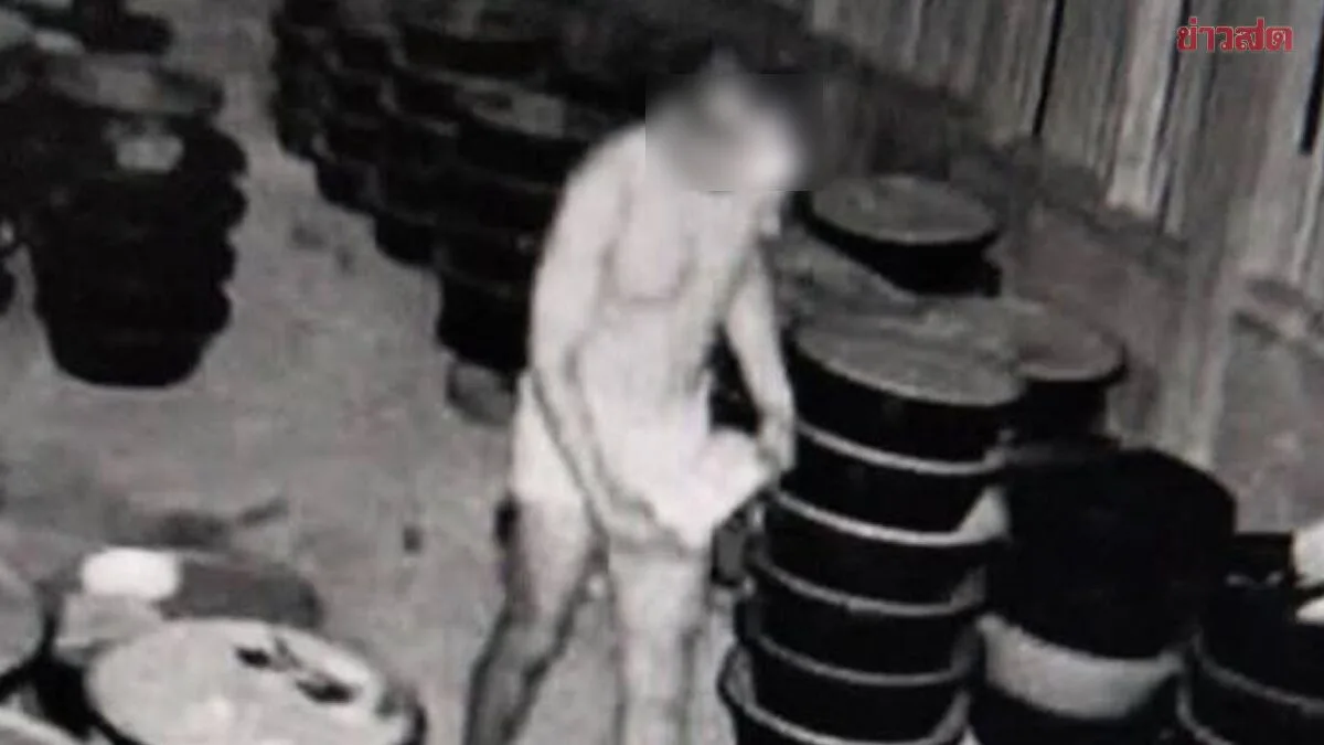 Village Chief Drags Young Man from Bedroom, Chains Him to Mango Tree in Brutal Four-Hour Torture