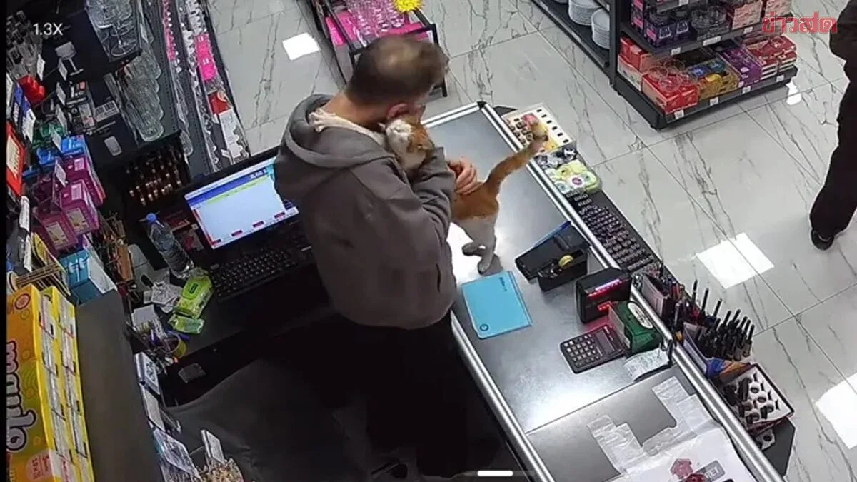 Heartwarming Beyond Measure! Stray Cat Never Forgets Her Rescuer, Hugs Him Every Day
