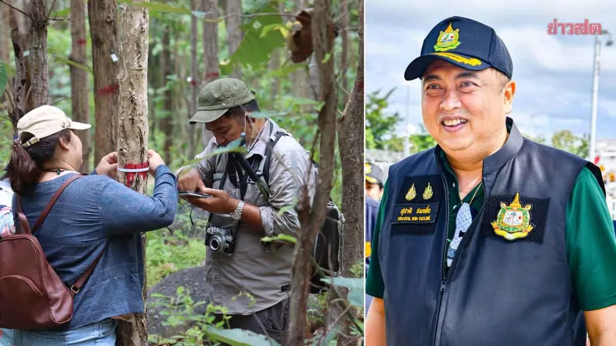 Suchart Champions PM's Community Forest and Carbon Credit Policy to Generate Income and Improve Quality of Life